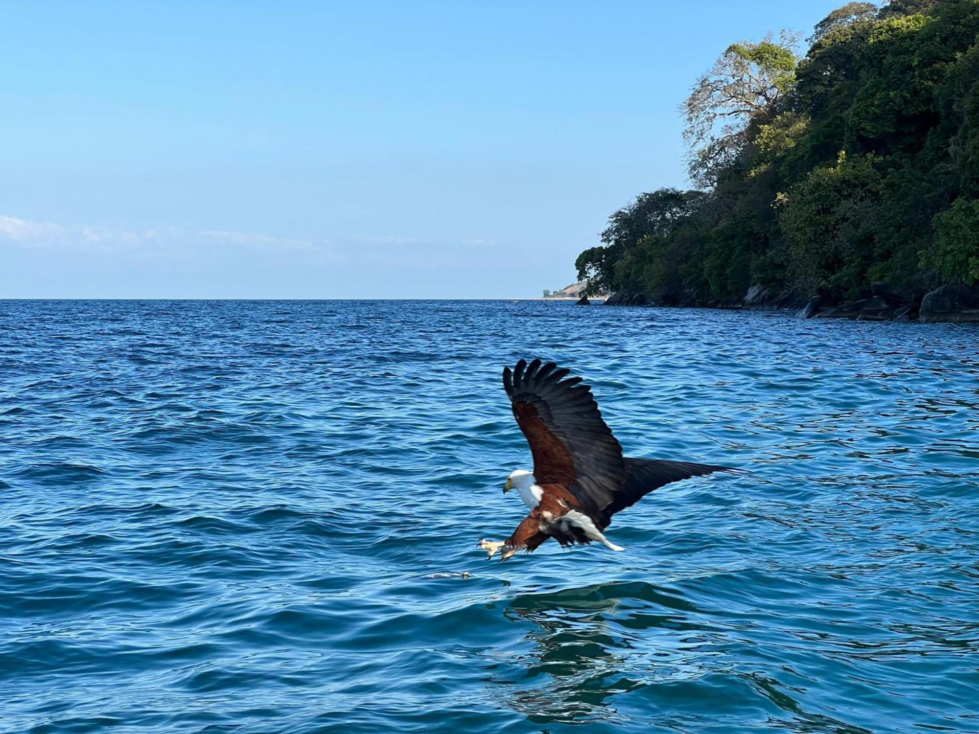 Butterfly Space- A Non-Profit Eco-Lodge Nkhata Bay Eksteriør bilde