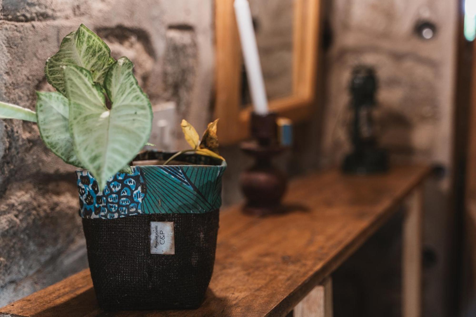 Butterfly Space- A Non-Profit Eco-Lodge Nkhata Bay Eksteriør bilde