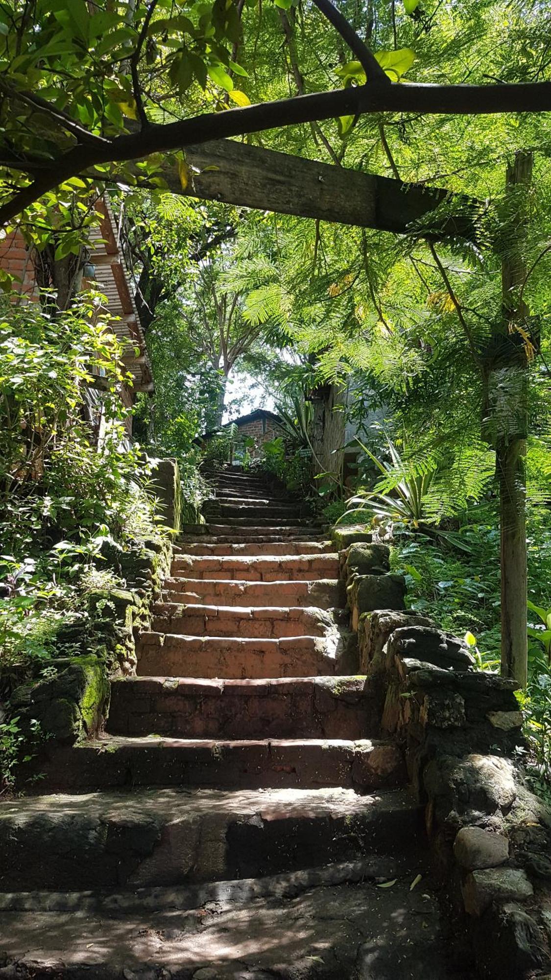 Butterfly Space- A Non-Profit Eco-Lodge Nkhata Bay Eksteriør bilde