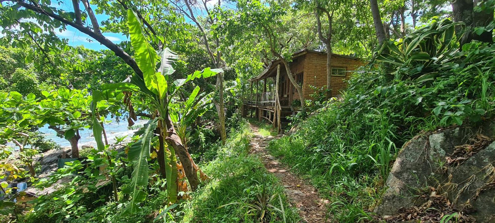 Butterfly Space- A Non-Profit Eco-Lodge Nkhata Bay Eksteriør bilde