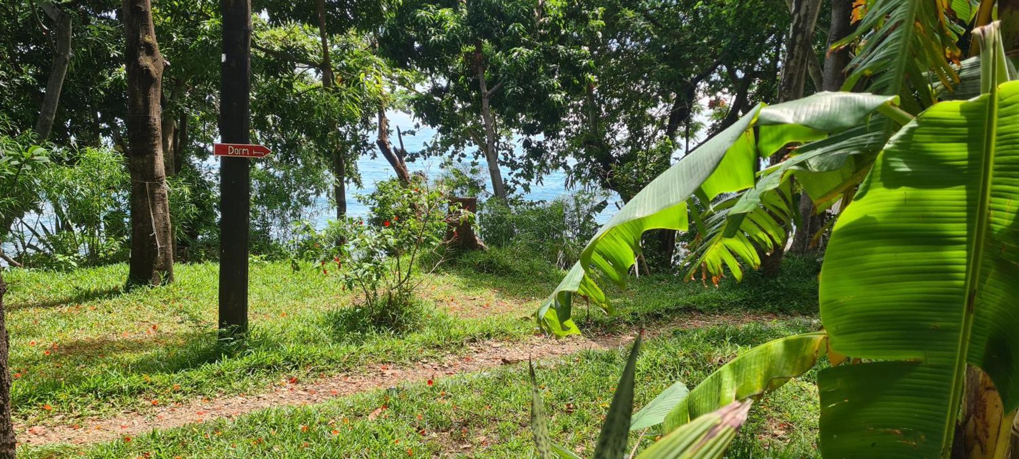 Butterfly Space- A Non-Profit Eco-Lodge Nkhata Bay Eksteriør bilde