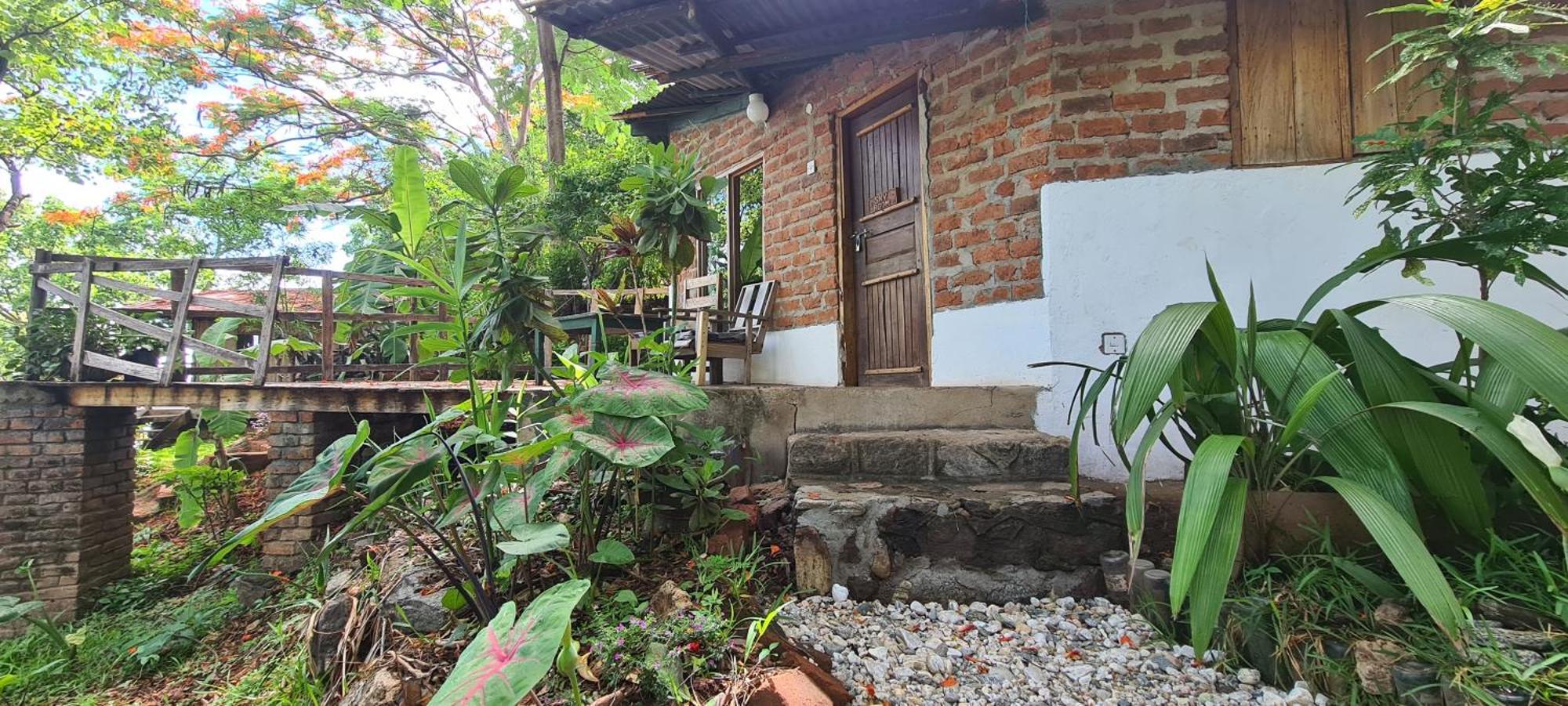 Butterfly Space- A Non-Profit Eco-Lodge Nkhata Bay Eksteriør bilde