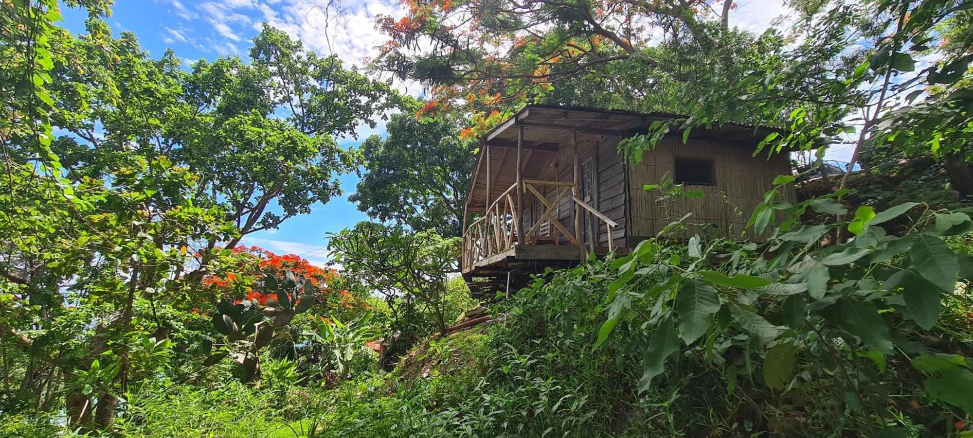 Butterfly Space- A Non-Profit Eco-Lodge Nkhata Bay Eksteriør bilde