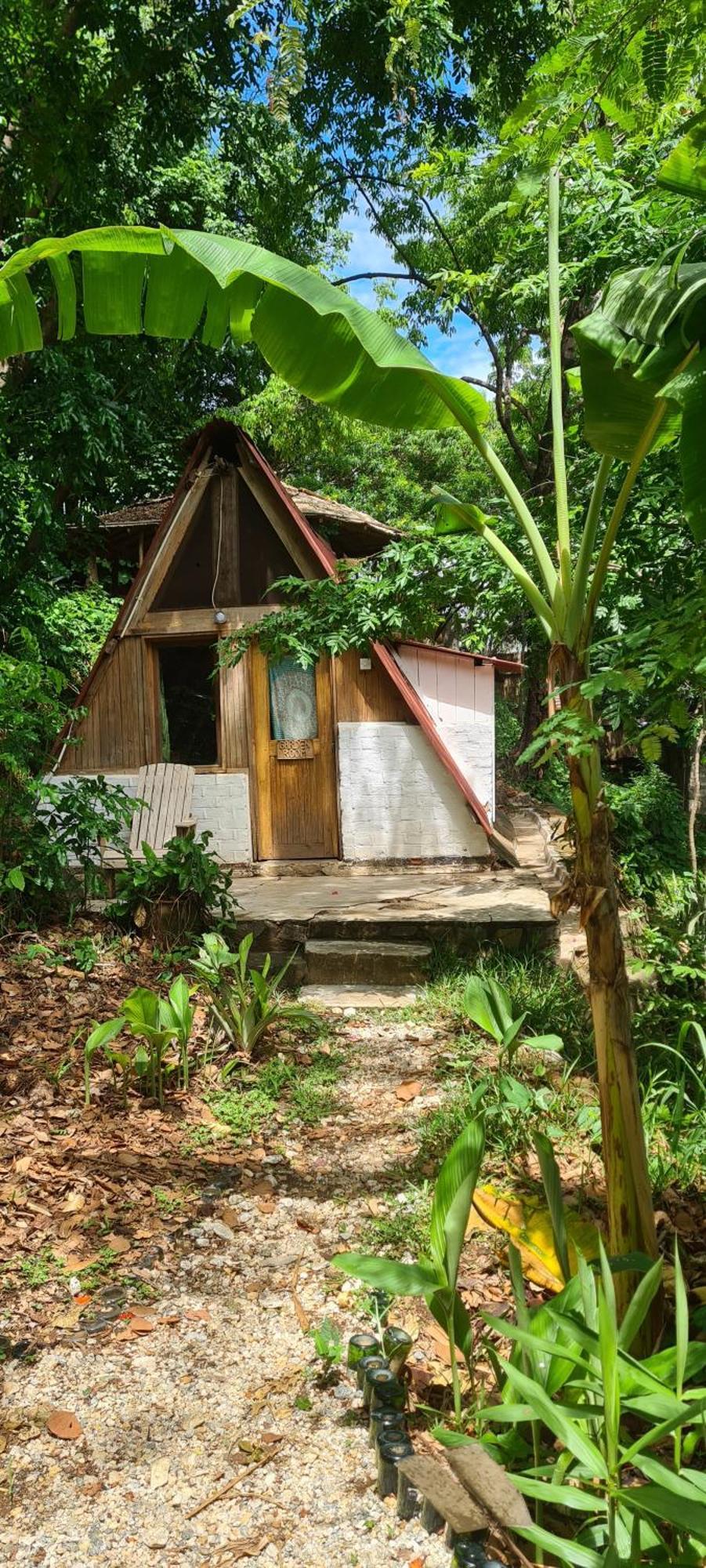 Butterfly Space- A Non-Profit Eco-Lodge Nkhata Bay Eksteriør bilde
